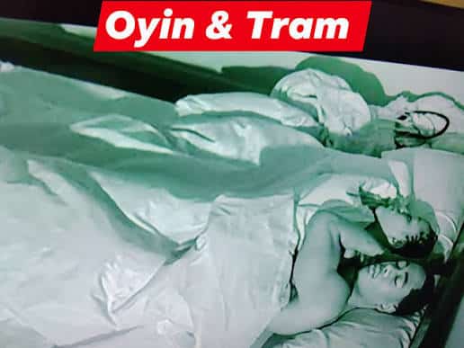 BBNaija: Tram And Oyin Having Sex In Big Brother Naija House